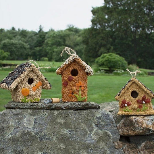 Spring Fruit Birdseed Cottage