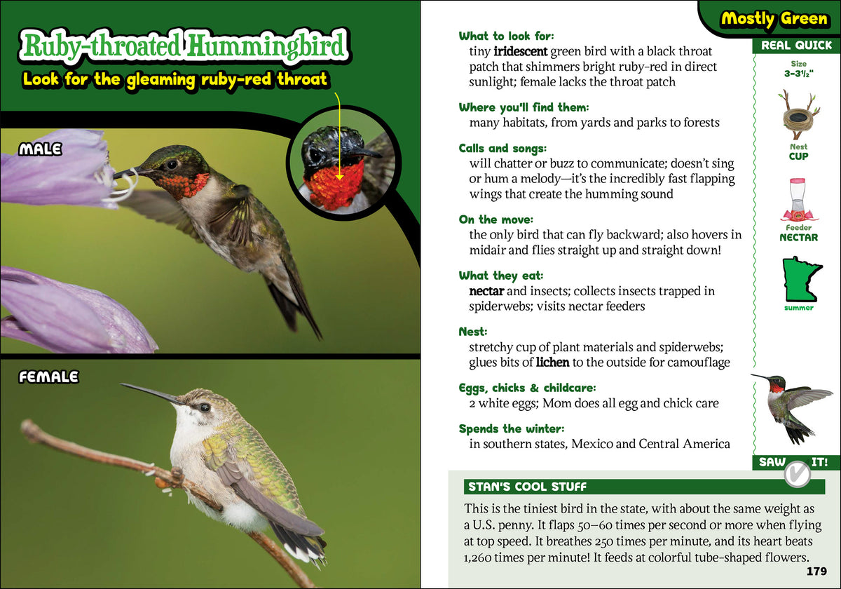 Kids&#39; Guide to Birds of Michigan