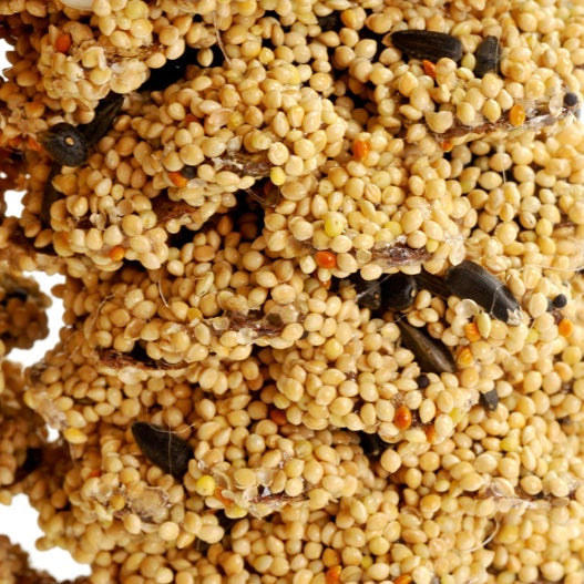 Large Pine Cone Birdseed