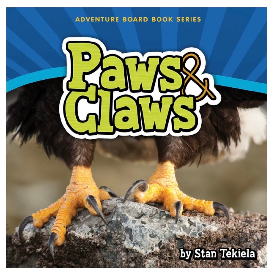 Paws &amp; Claws Board Book
