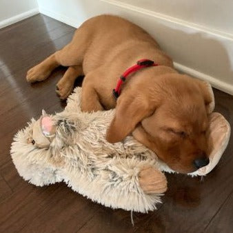Interactive Plush Squeaker Toy