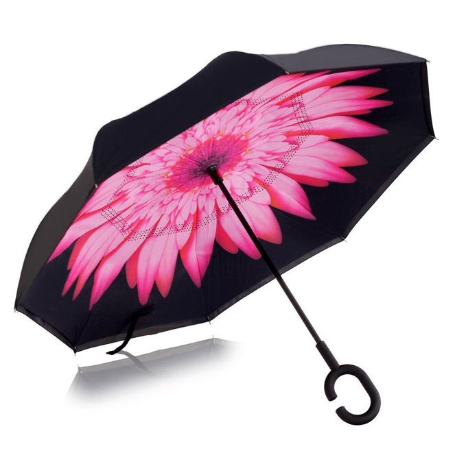 Best Reverse Umbrella