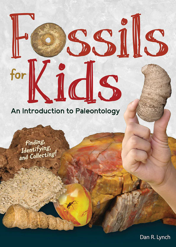 Fossils for Kids Book