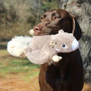 Interactive Plush Squeaker Toy