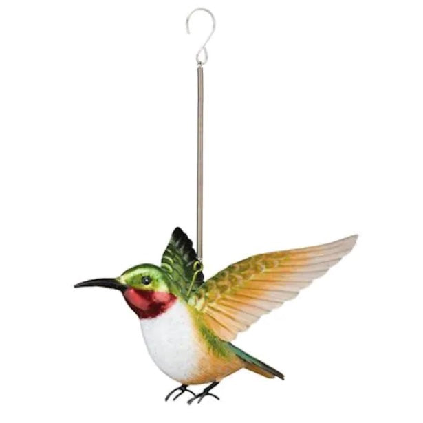 Hummingbird Bouncie