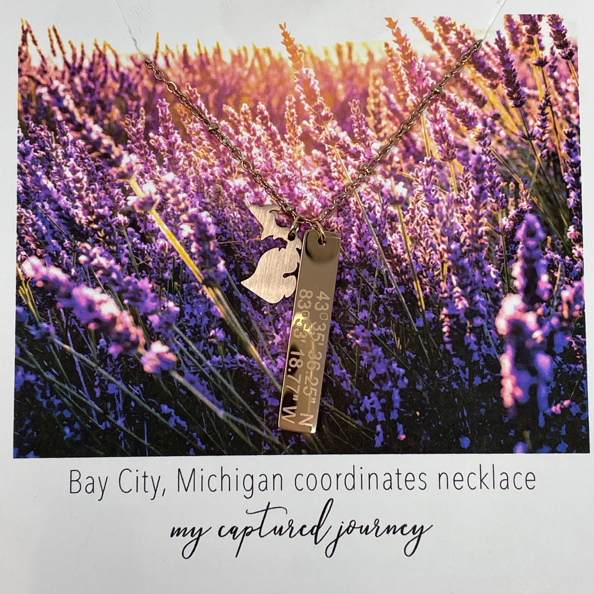 Bay City Coordinates Vertical Bar Necklace