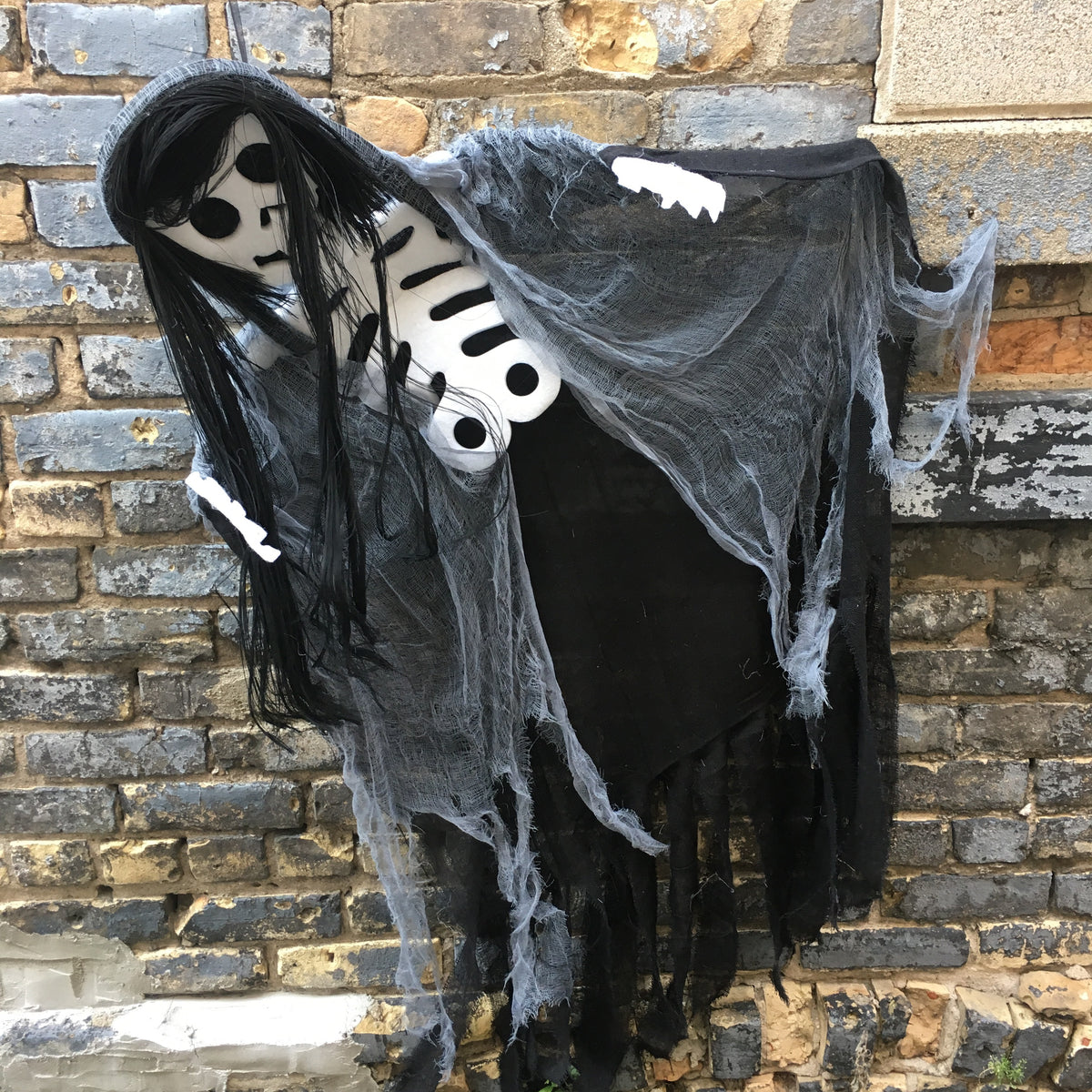 53&quot; Poly/Foam Hanging Skeleton