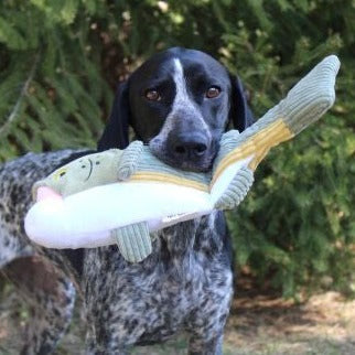 Interactive Plush Squeaker Toy