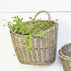 Fat Pocket Willow Basket