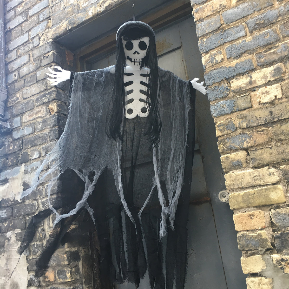 53&quot; Poly/Foam Hanging Skeleton