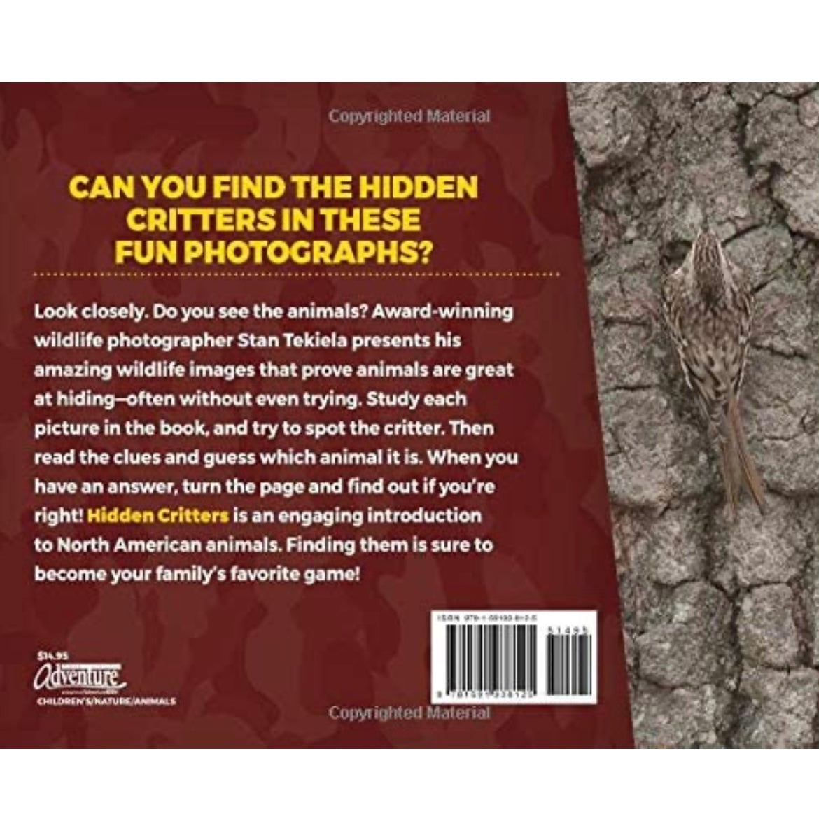 Hidden Critters Book