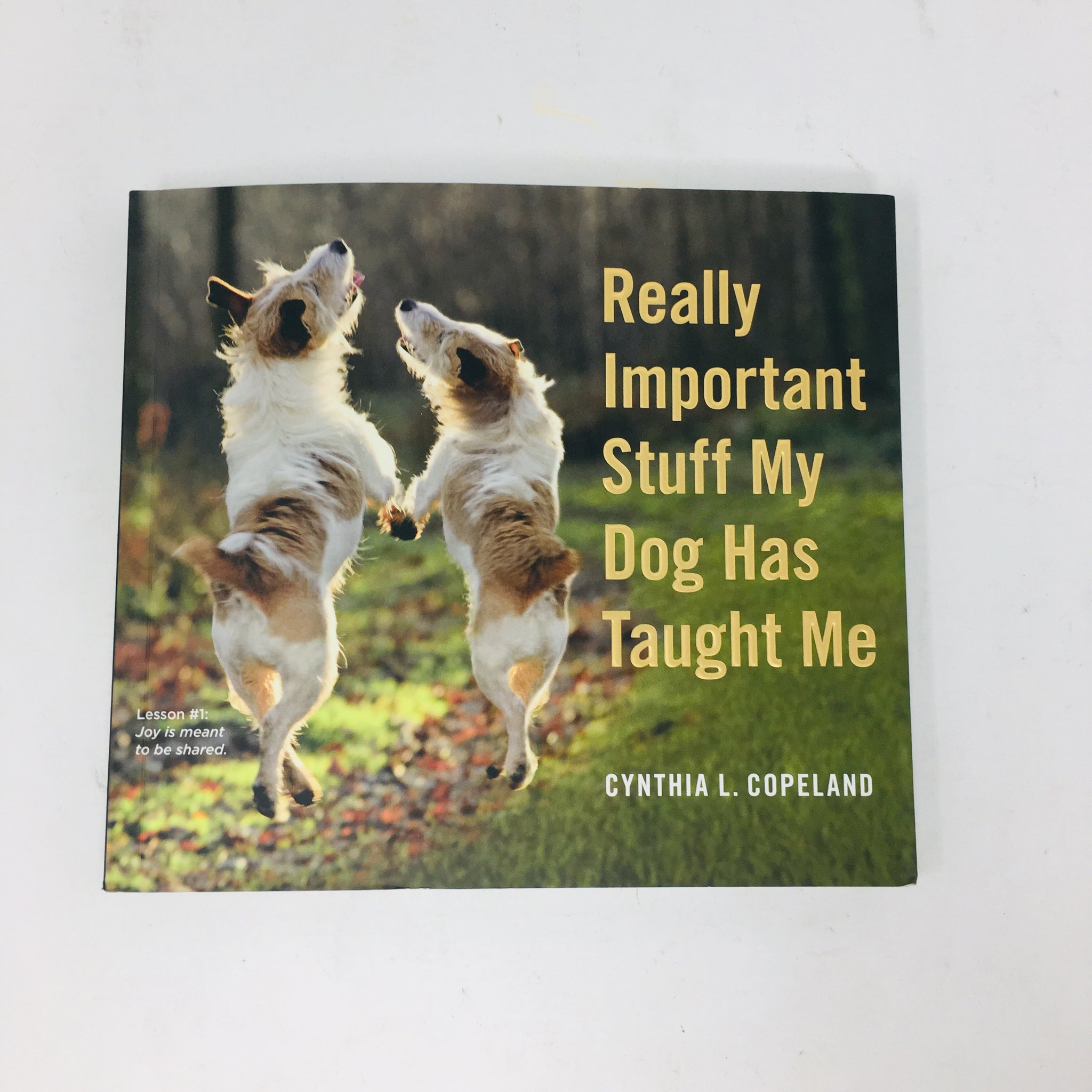 Can't Get Enough Dog Stuff [Book]
