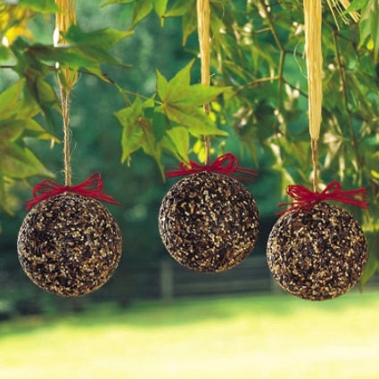 Seed &amp; Nut Bird Ornaments Bagged