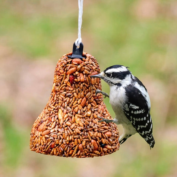 Flaming Hot Birdseed Bell