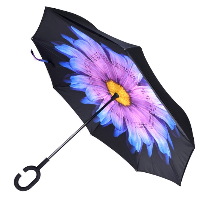 Best Reverse Umbrella