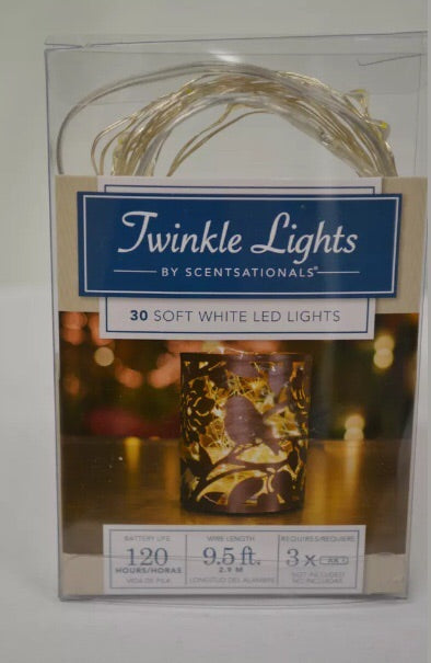 Twinkle Lights 30 Soft White LED lights 9.5&#39;
