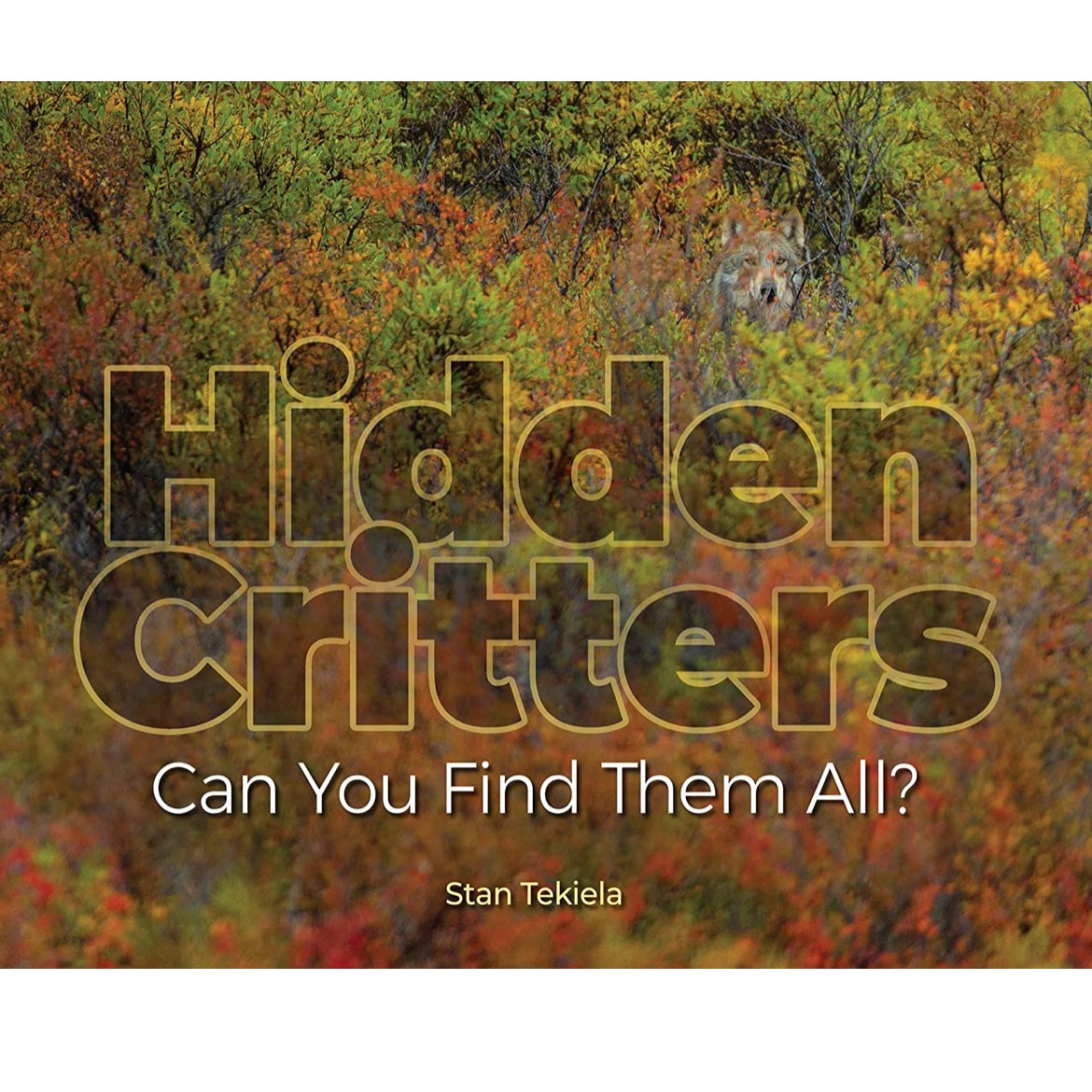 Hidden Critters Book