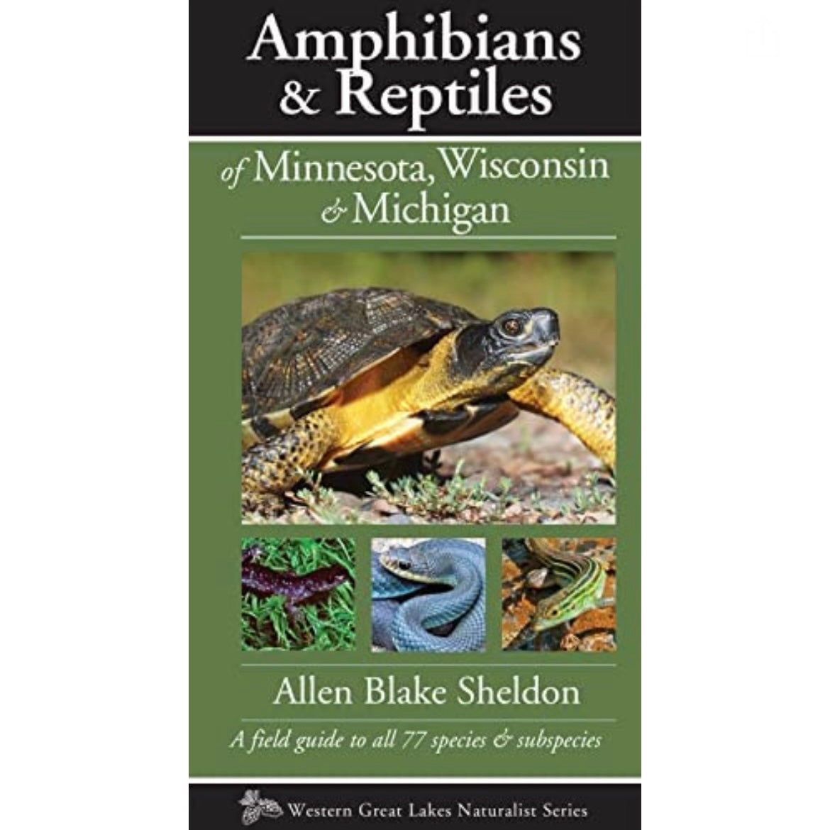Amphibians &amp; Reptiles of MN, WI &amp; MI Field Guide