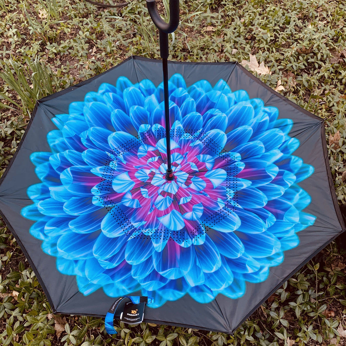 Best Reverse Umbrella