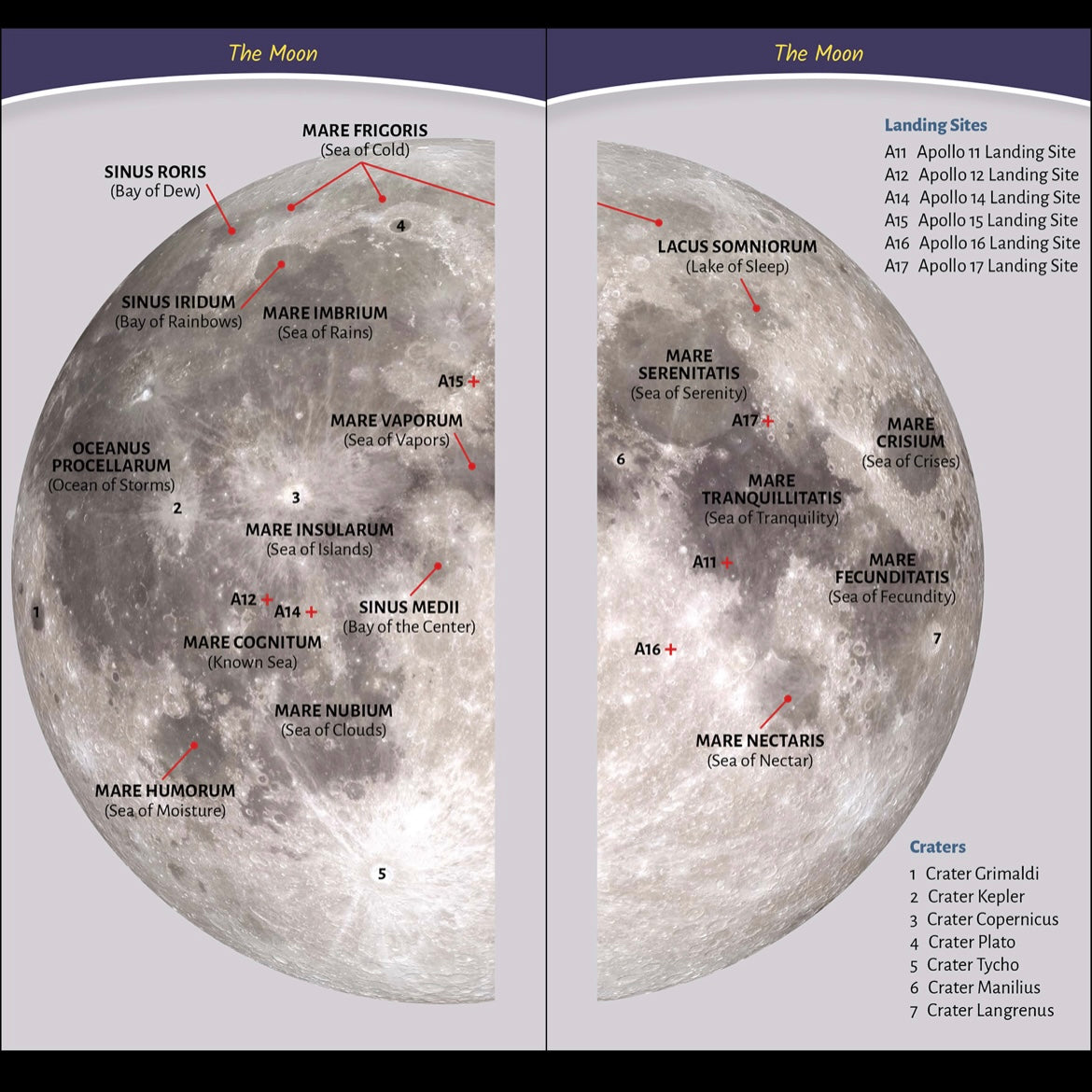 Simply Stargazing Quick Guide