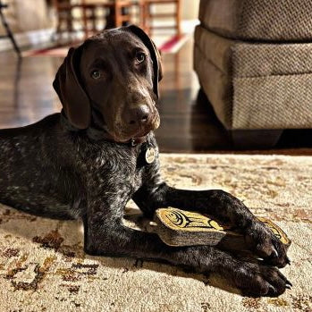 Natural Leather &amp; Wool Dog Toy