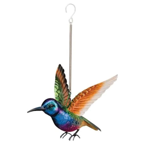 Hummingbird Bouncie