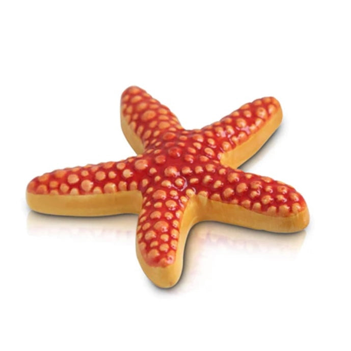 Discontinued - Sea Star Starfish Nora Mini
