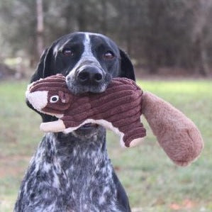 Interactive Plush Squeaker Toy
