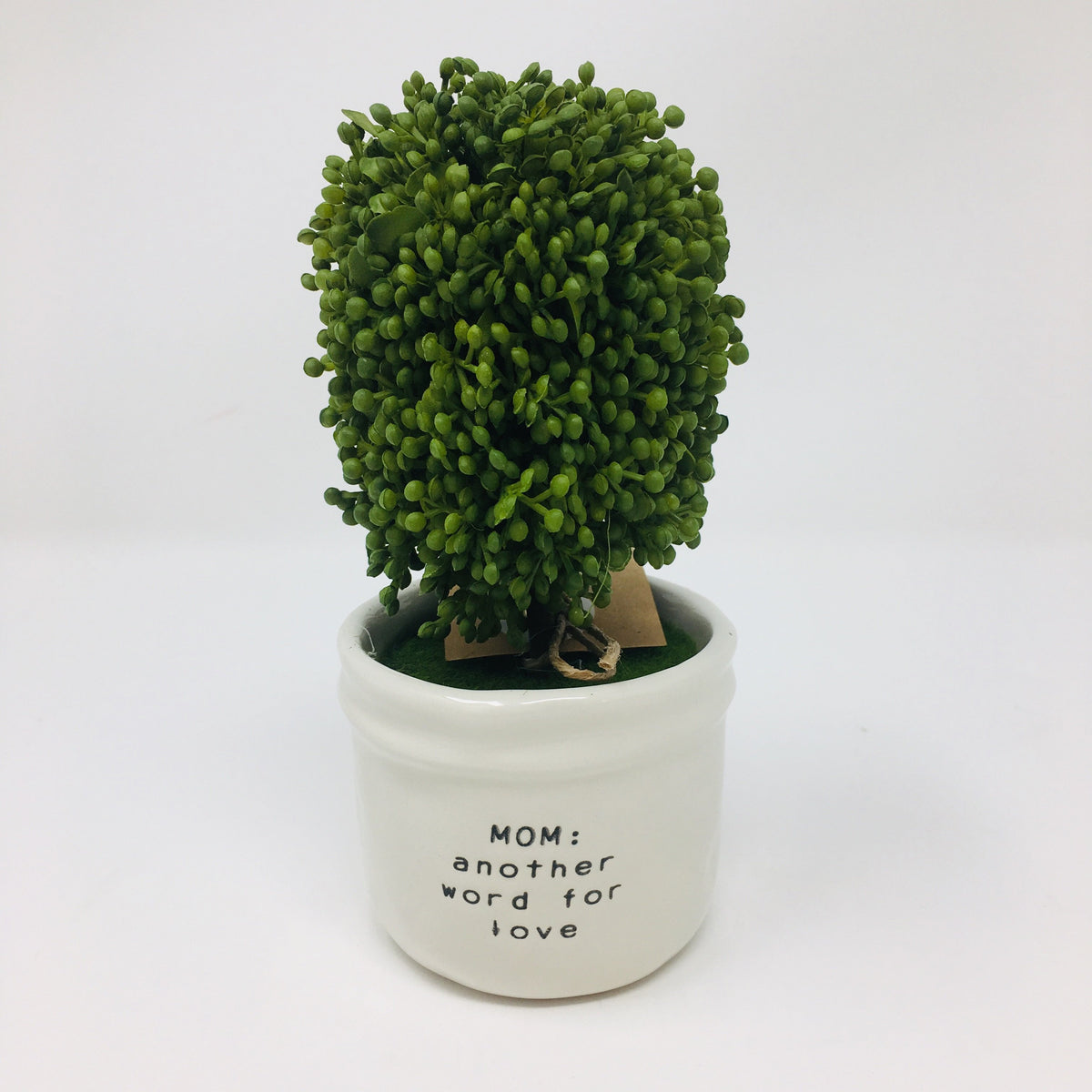Mini Topiary
