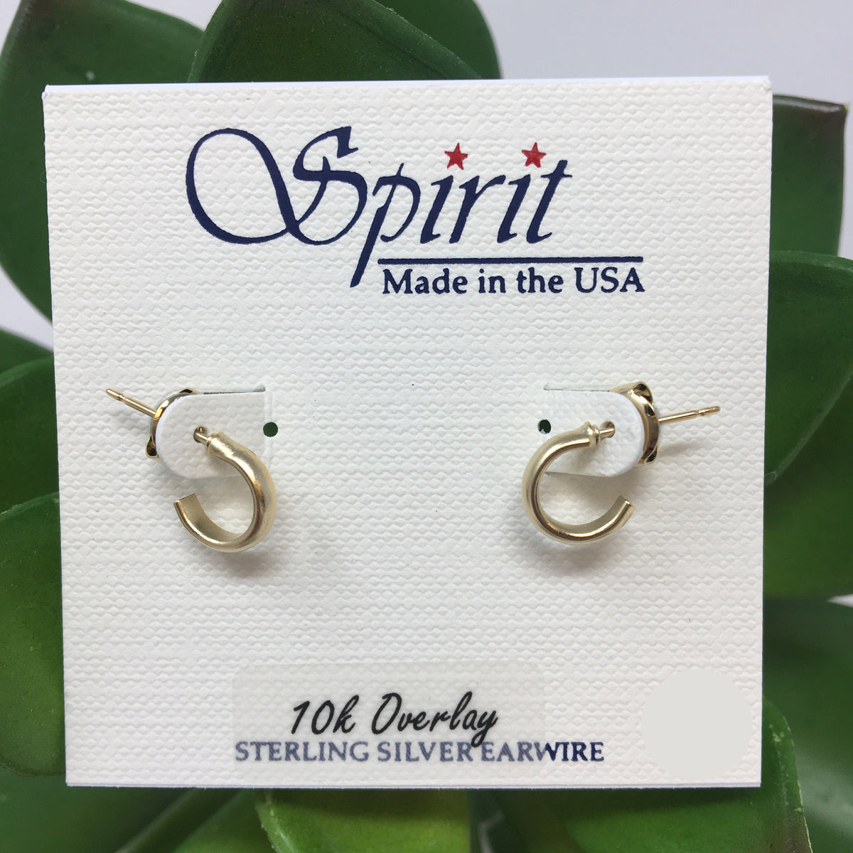 Petite Classic Hoop Post Earring