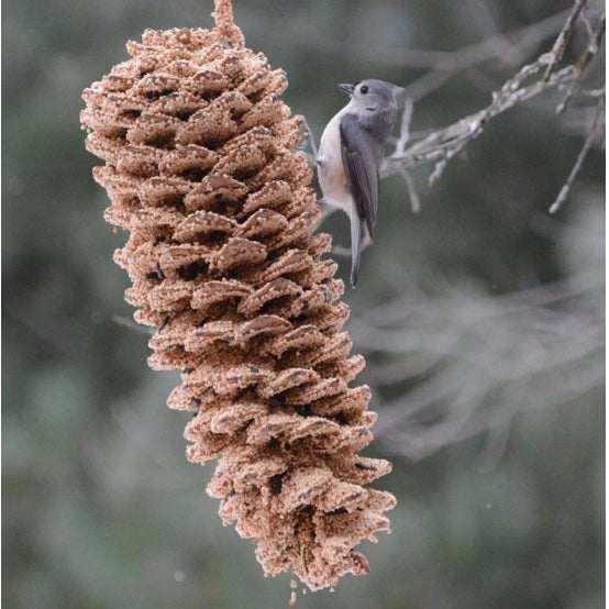 Large Pine Cone Birdseed