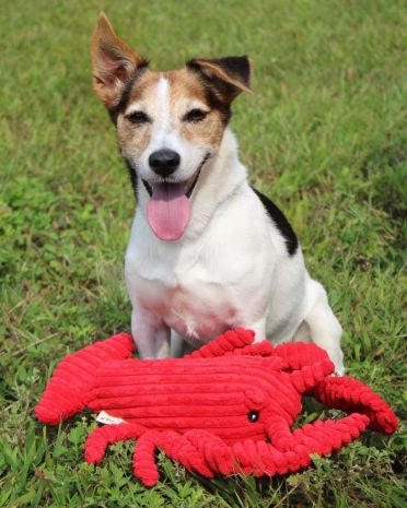 Interactive Plush Squeaker Toy