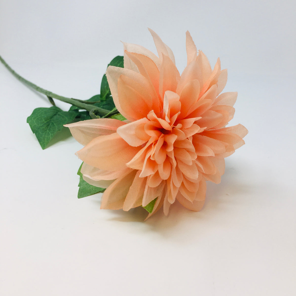 Single Dahlia w/ Leaves 28&quot;H