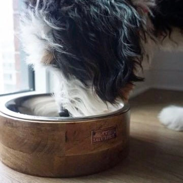 Wood Designer Dog Bowl