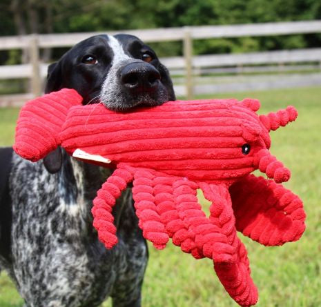 Interactive Plush Squeaker Toy