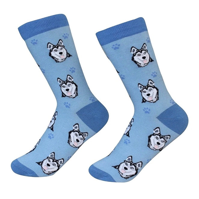 White dog socks top