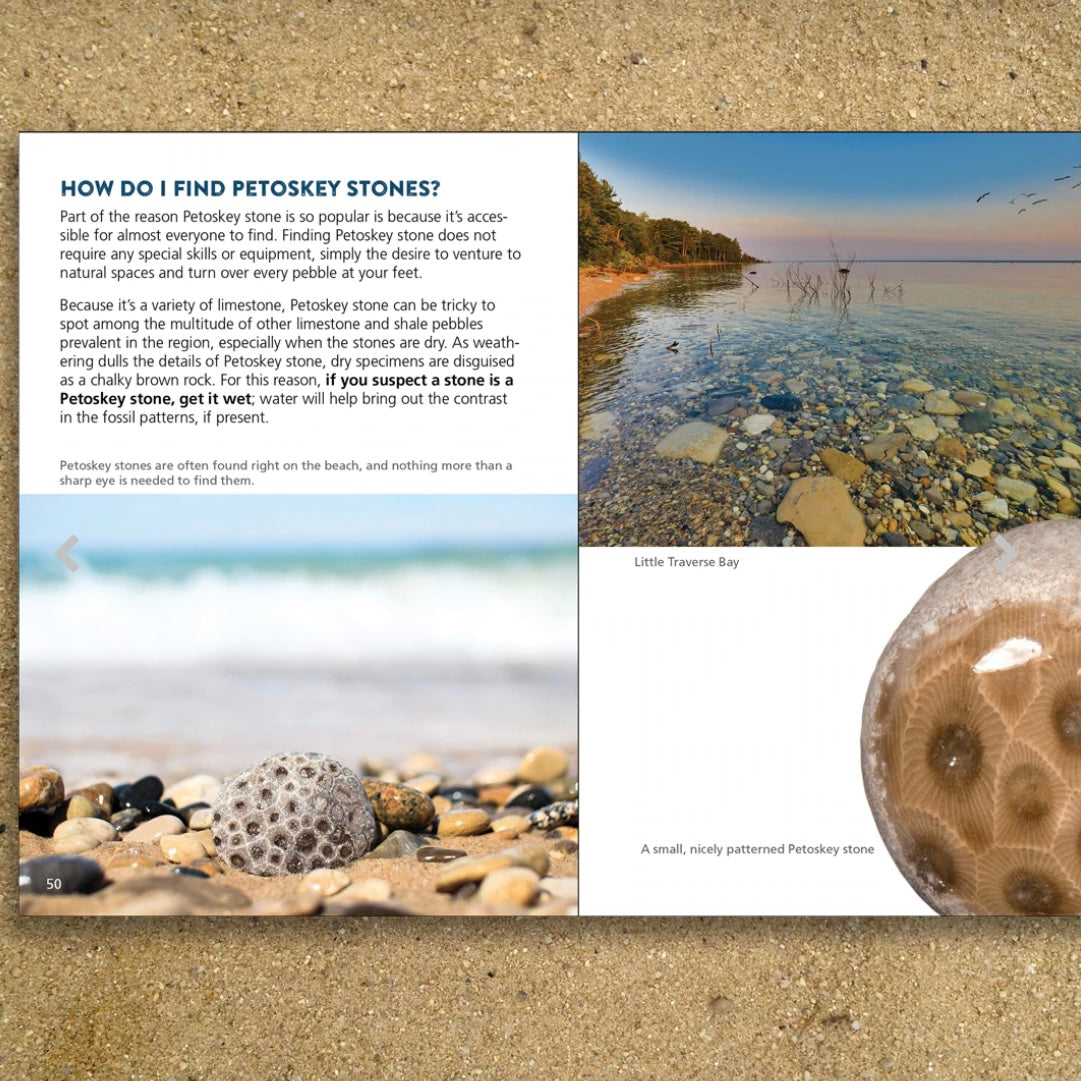 Petoskey Stone Book