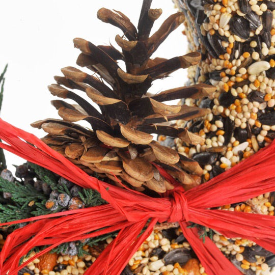 Wildfeast Birdseed Wreath