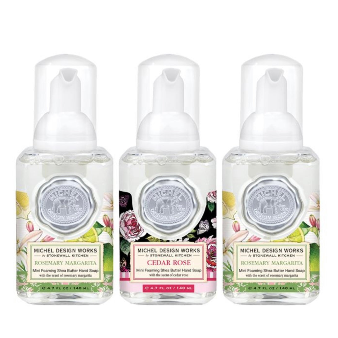 Mini Foaming Hand Soap Set