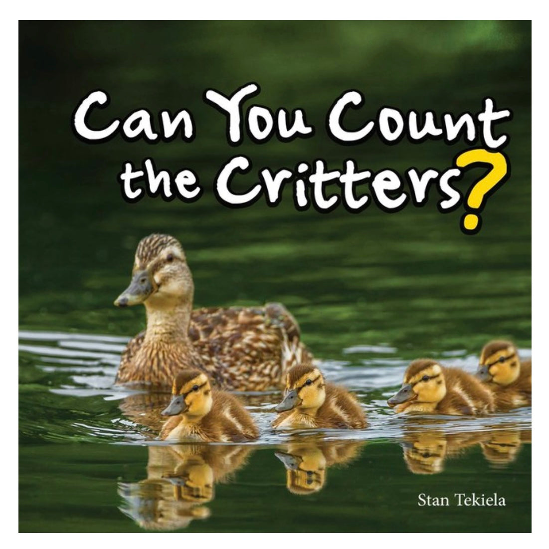 Can You Count the Critters? Book