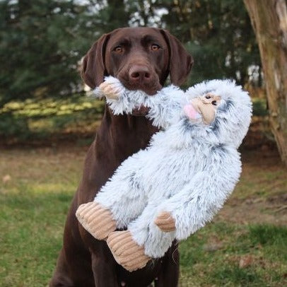 Interactive Plush Squeaker Toy
