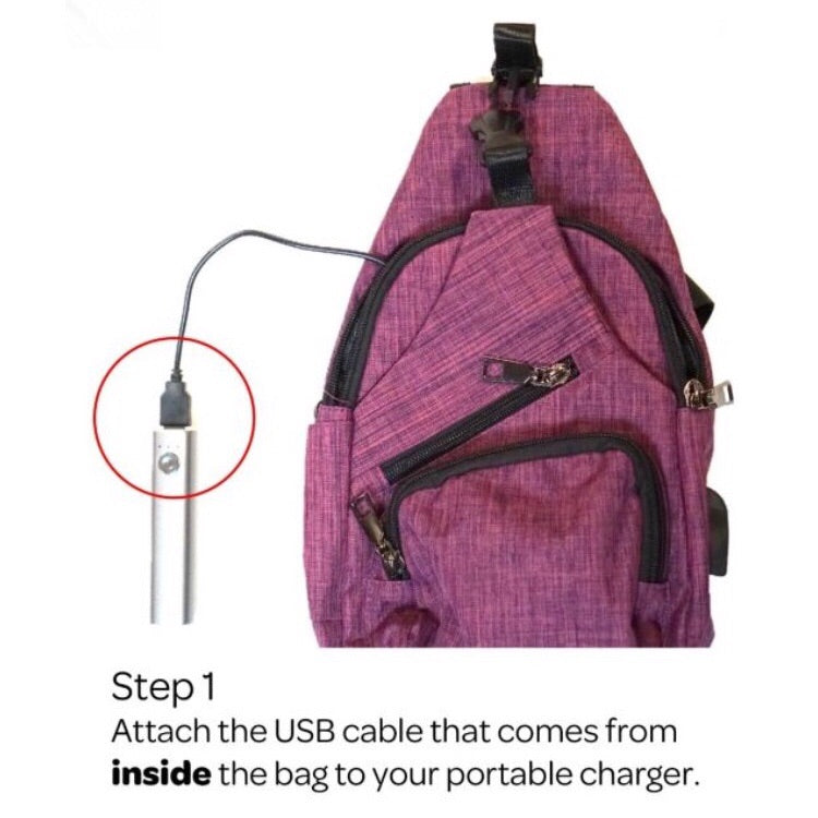 Large Anti-Theft Day Pack