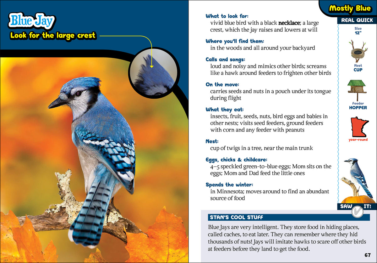 Kids&#39; Guide to Birds of Michigan