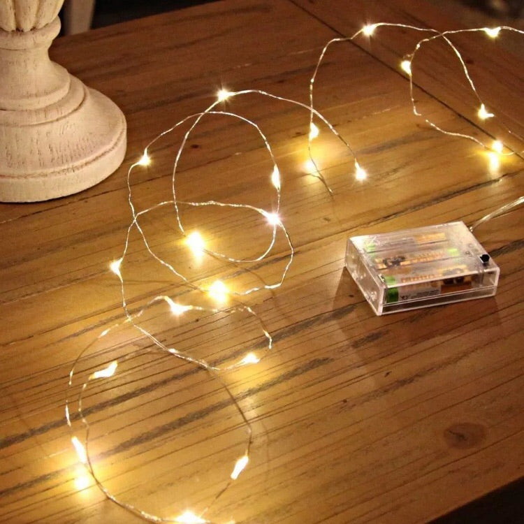 Twinkle Lights 30 Soft White LED lights 9.5&#39;