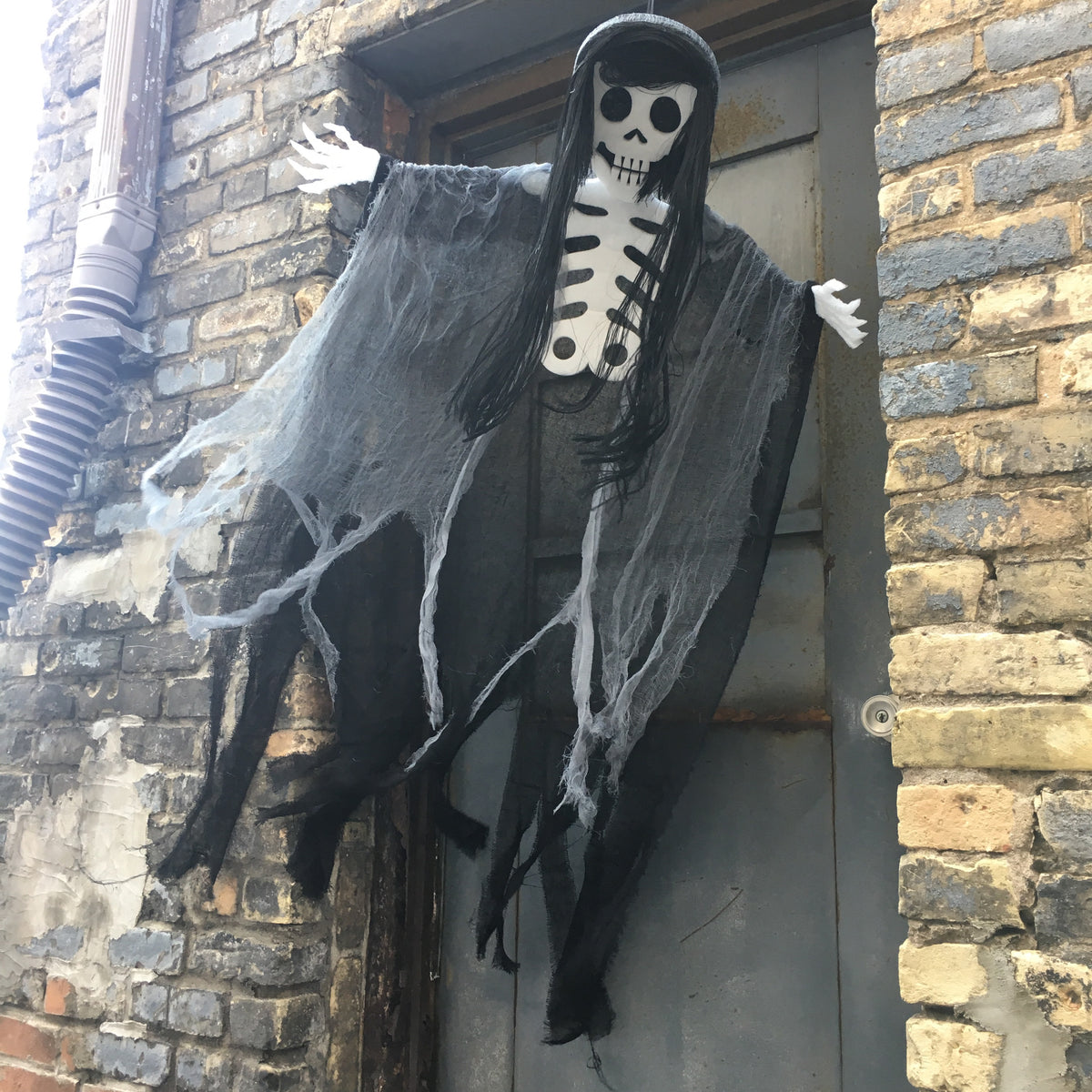 53&quot; Poly/Foam Hanging Skeleton