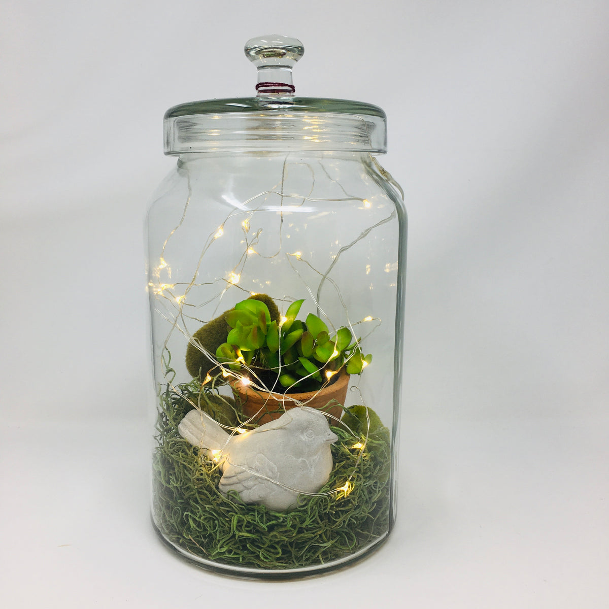 Glass Canister 12&quot;
