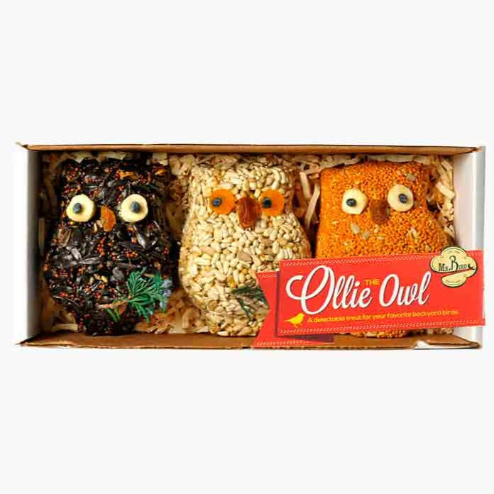 Ollie Owl Birdseed Cake 3pk