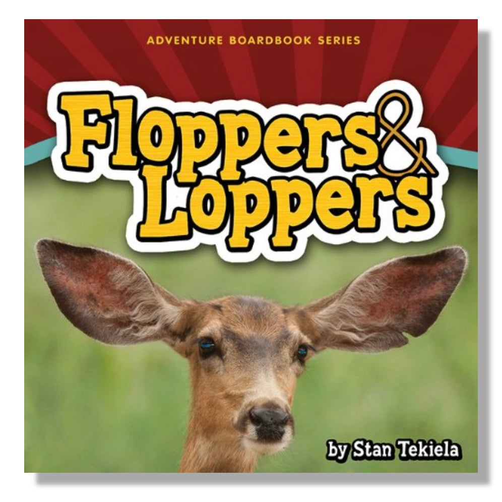 Floppers &amp; Loppers Board Book
