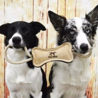Natural Leather &amp; Wool Dog Toy