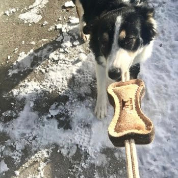 Natural Leather &amp; Wool Dog Toy
